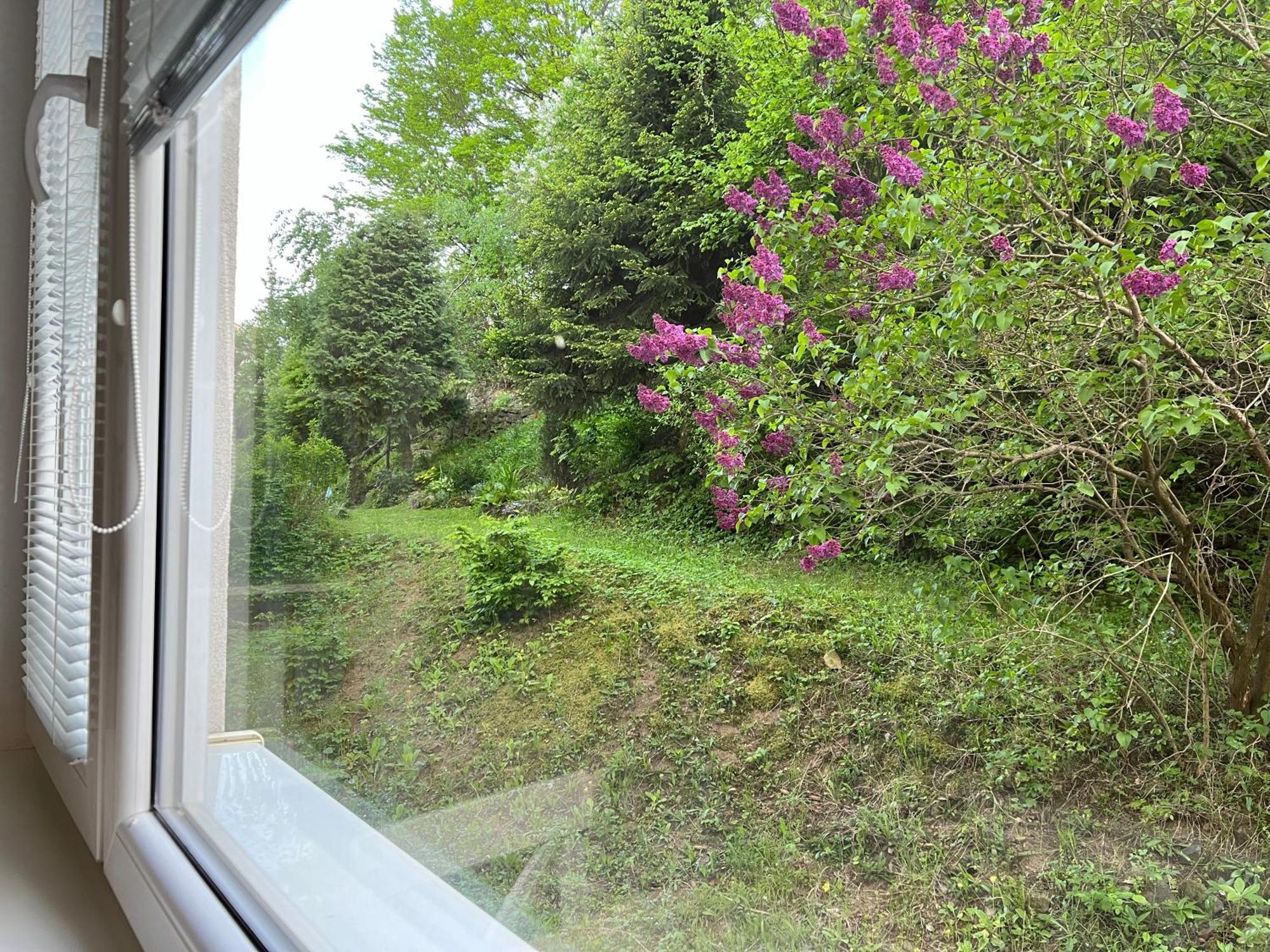 Banská Štiavnica Apartman Rosniarka מראה חיצוני תמונה